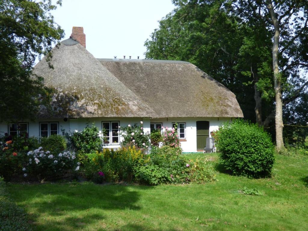 Wasserkoog 22 Tetenbull Exterior foto
